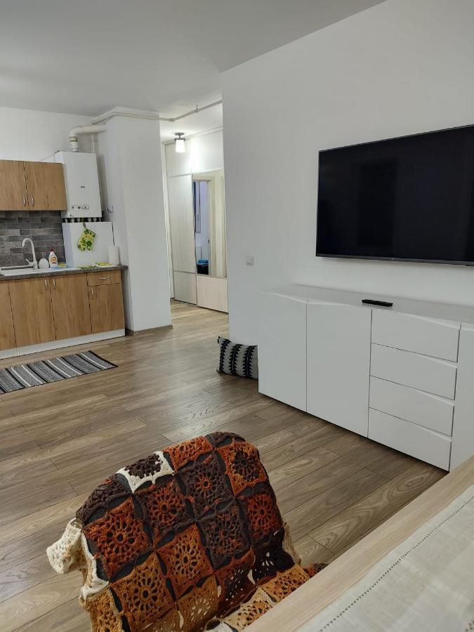 Casa Ioana Apartman Marosvásárhely Kültér fotó