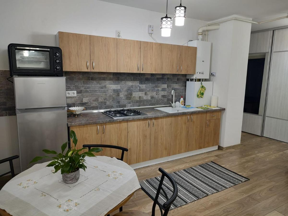 Casa Ioana Apartman Marosvásárhely Kültér fotó