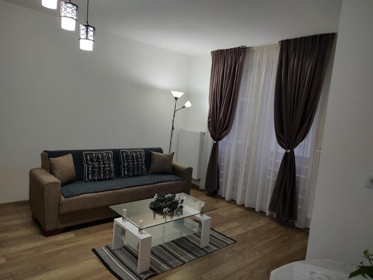 Casa Ioana Apartman Marosvásárhely Kültér fotó